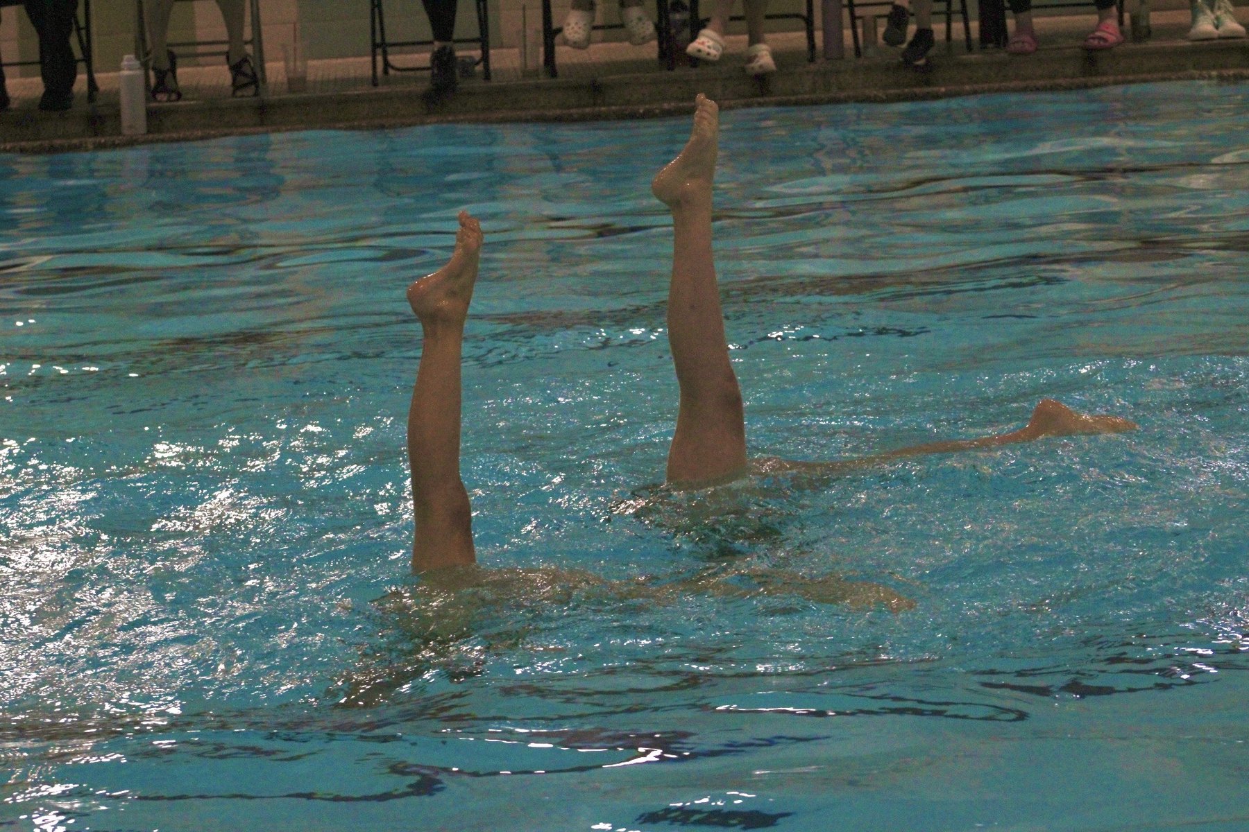 Boston Synchro Swim athletes